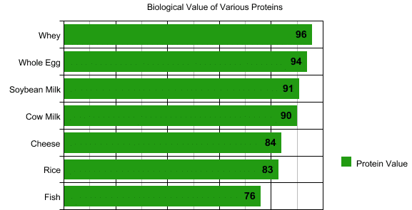 Bioavailability Of Protein Chart
